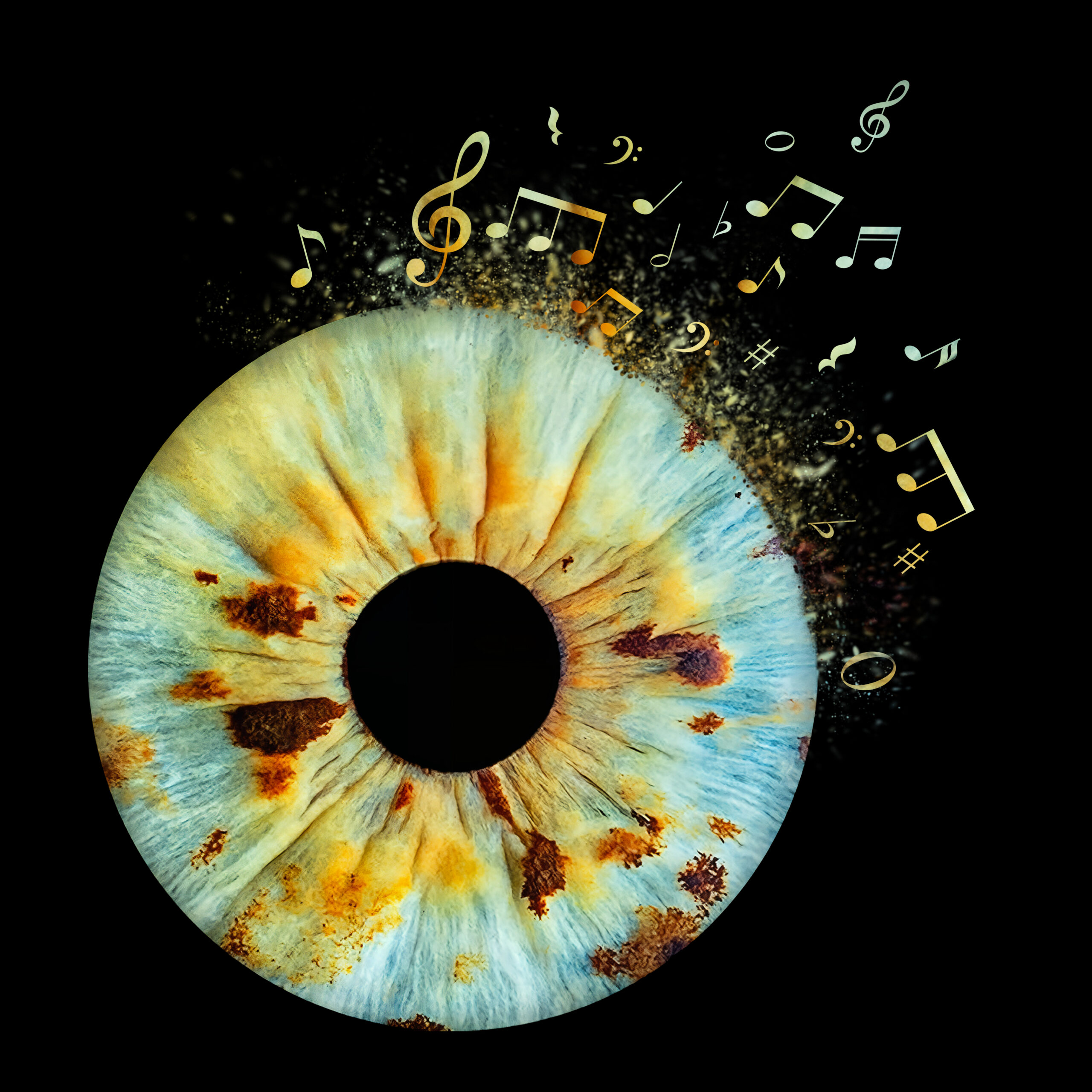 Photo Art — Iris